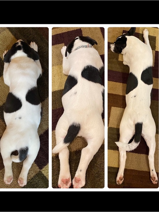 POL Tops - ❤️❤️UNLISTED BOUTIQUE❤️❤️